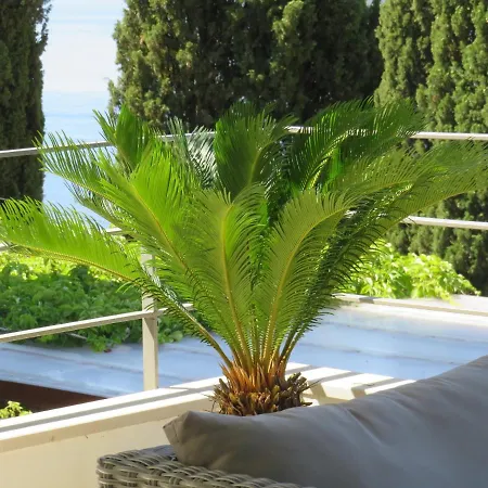 King * Dubrovnik